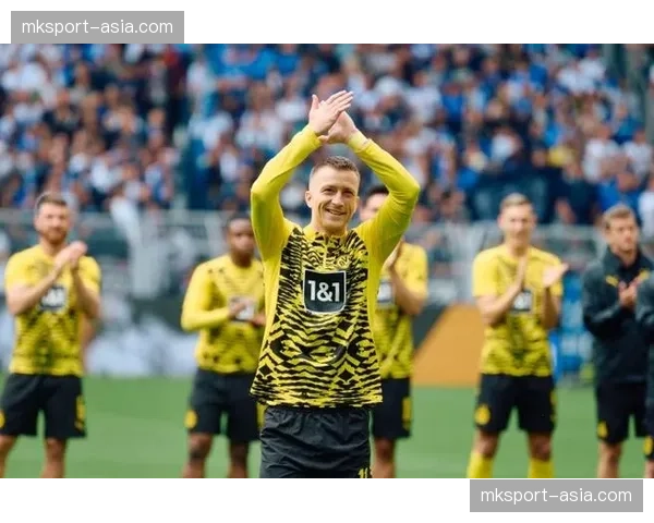 花絮：看台出现巨型TIFO，多特蒙德球迷致敬即将离队的罗伊斯